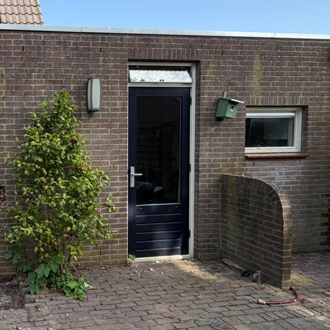 Kozijn hout met deur en bovenlicht, Gebruikt, Deurkozijn, Inclusief glas, 225 cm of meer