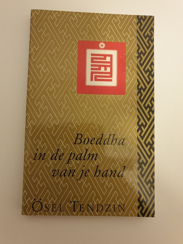 Boeddha in de palm van je hand, Ophalen of Verzenden, Zo goed als nieuw, Achtergrond en Informatie