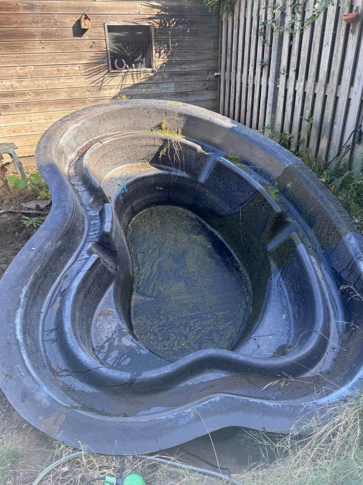 Vijverbak - Gebruikt, Tuin en Terras, Ophalen, Gebruikt