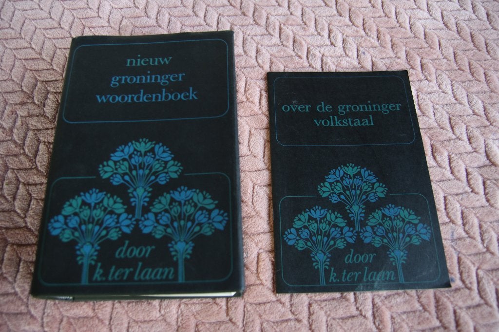 Nieuw Groninger Woordenboek, Ophalen of Verzenden, Gelezen