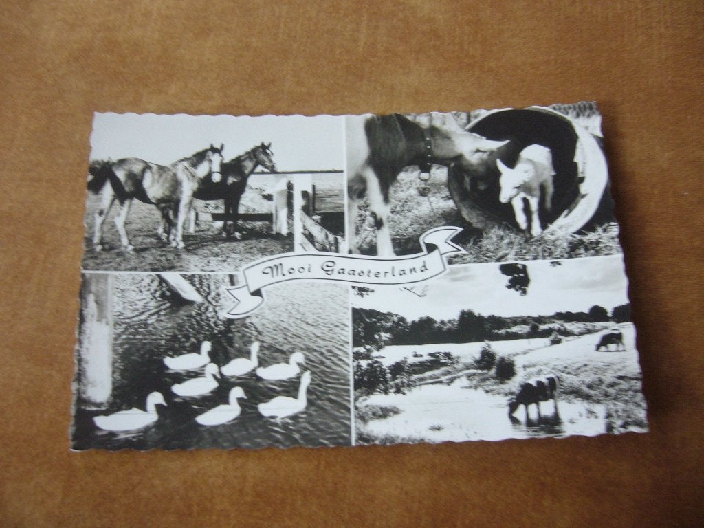 GAASTERLAND  =  4 LUIK, Verzamelen, Ophalen of Verzenden, 1960 tot 1980, Gelopen