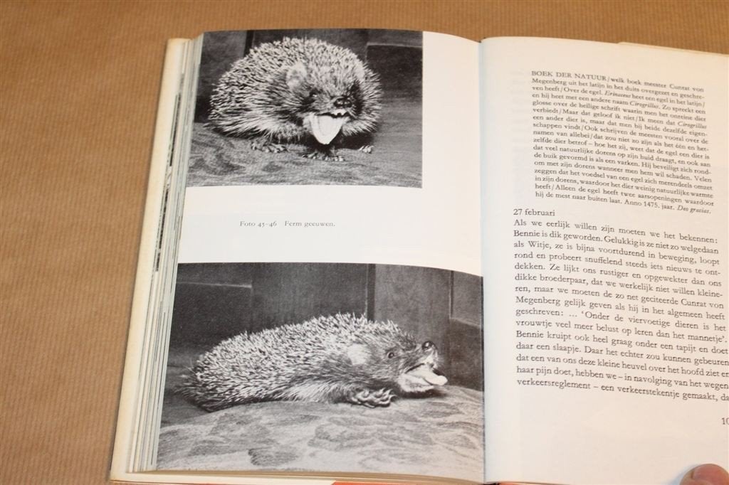 Onze eigen egel — Gedrag en grootbrengen van egels, Ophalen of Verzenden, Gelezen, Honden