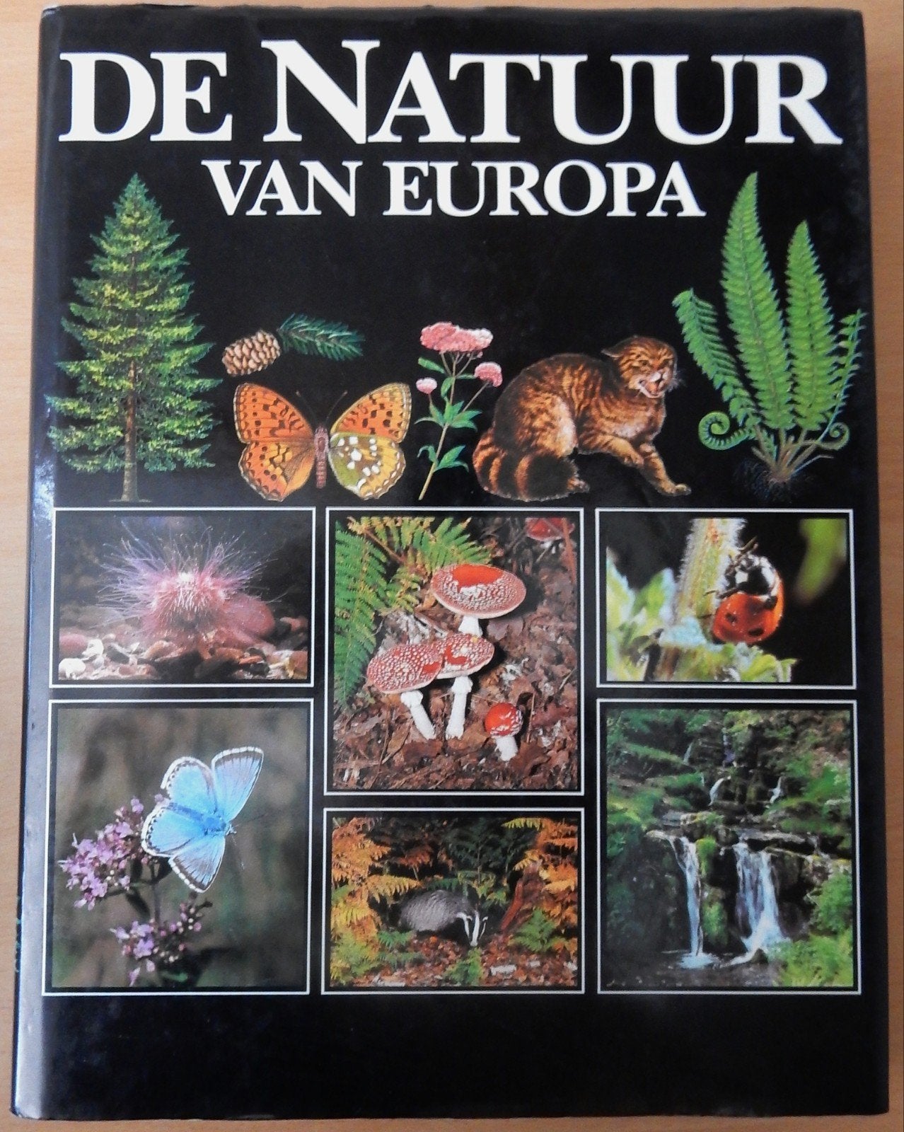 De natuur van Europa (1985), Boeken, Ophalen of Verzenden, Zo goed als nieuw, Natuur algemeen