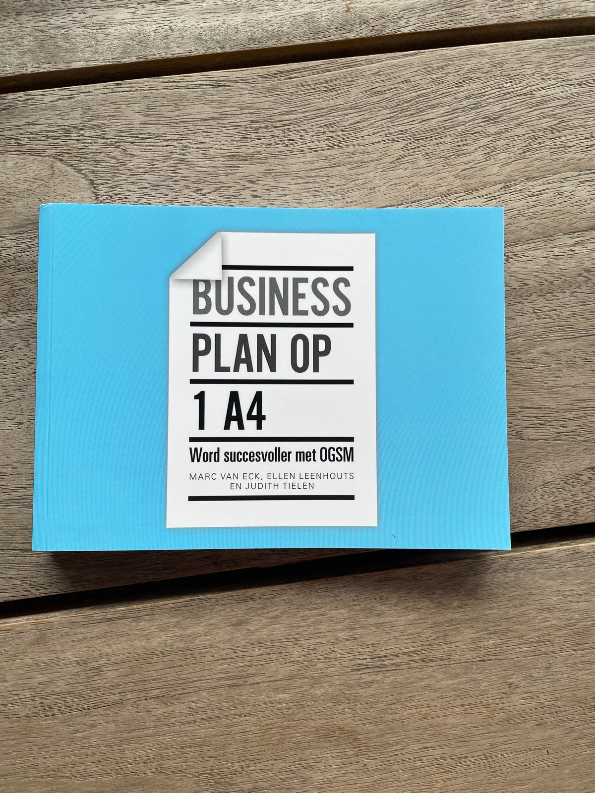 Business Plan op 1 A4 - Word succesvoller met OGSM, Ophalen of Verzenden, Zo goed als nieuw, Management