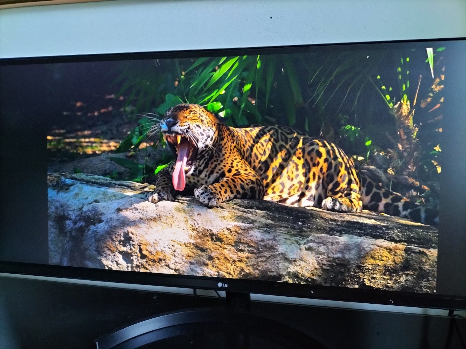 Ultrawide Monitor -LG34WK500-P, Ophalen, IPS, Ultrawide, LG
