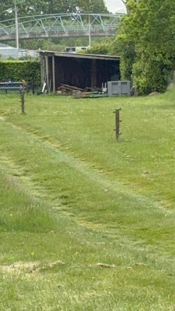 Weidegang met schuilstal, Weidegang