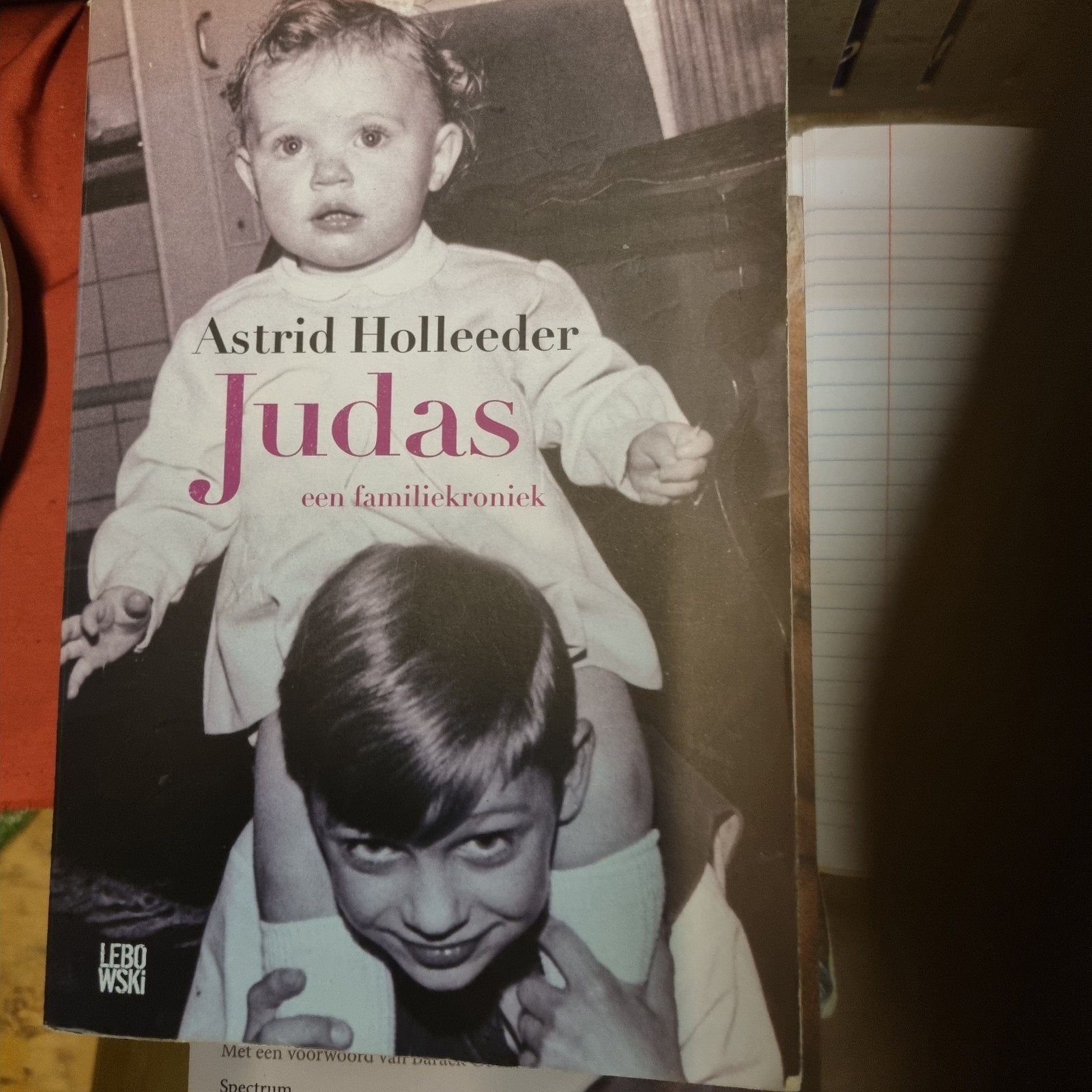 Astrid Holleeder - Judas: Een Familiekroniek, Ophalen of Verzenden, Gelezen, Astrid Holleeder, Overige
