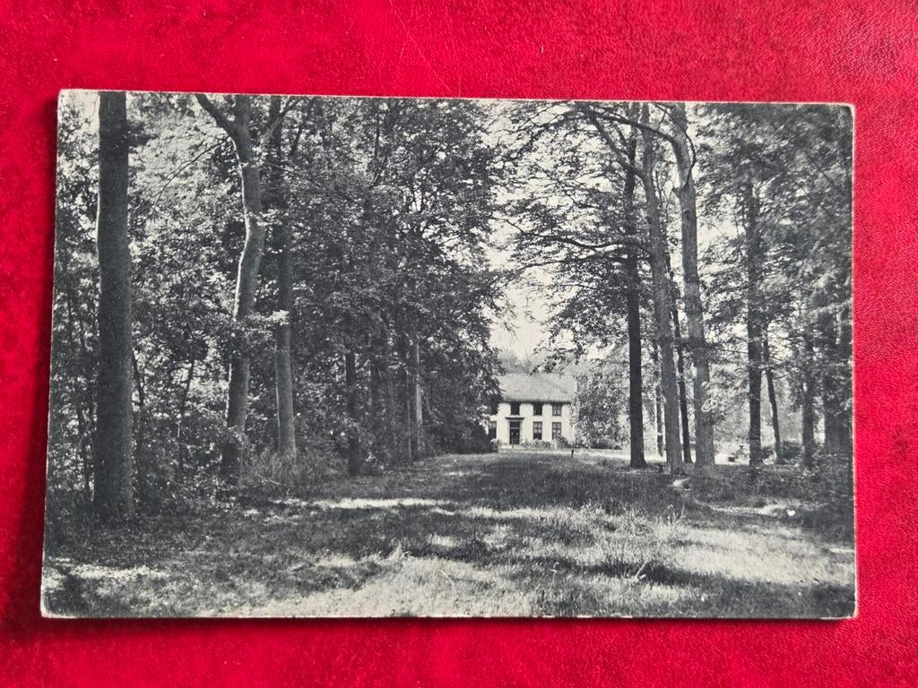 Liesbosch Princenhage bij Breda Beukenlaan met Jachthuis, Ophalen of Verzenden, Voor 1920, Noord-Brabant