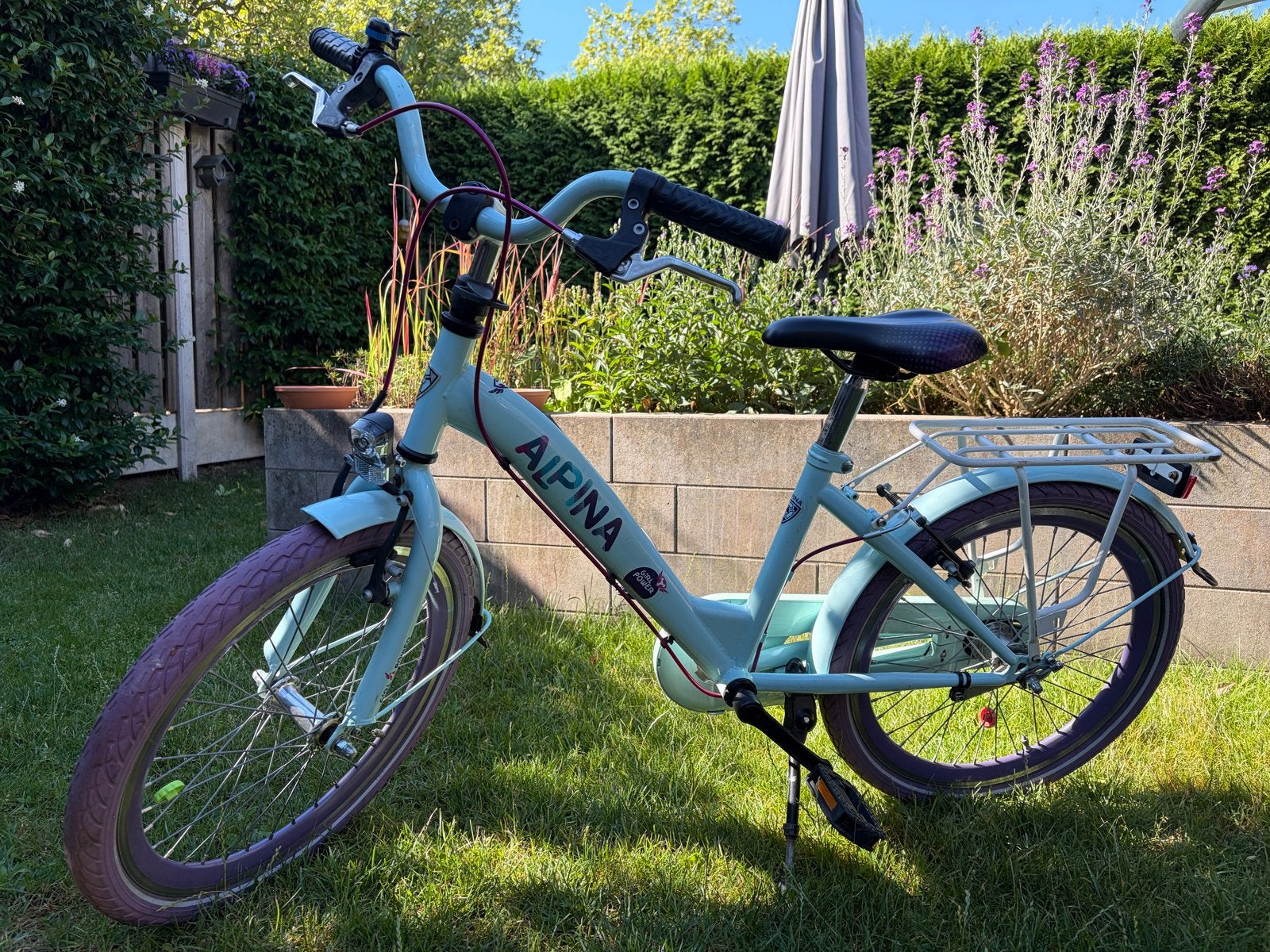 Alpina meisjesfiets 20 inch met terugtraprem en handrem, Fietsen en Brommers, Ophalen, Terugtraprem, Gebruikt, Handrem