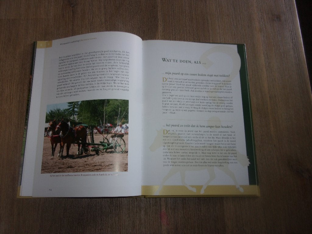 Boek Menpaard in Opleiding Rudolf Temporini, Ophalen of Verzenden, Zo goed als nieuw, Rudolf temporini, Paarden of Pony's