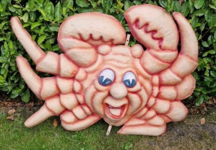 BERGEN OP ZOOM! GRÒTE MOOIE KRAB🦀, Ophalen, Zo goed als nieuw, Overige maten