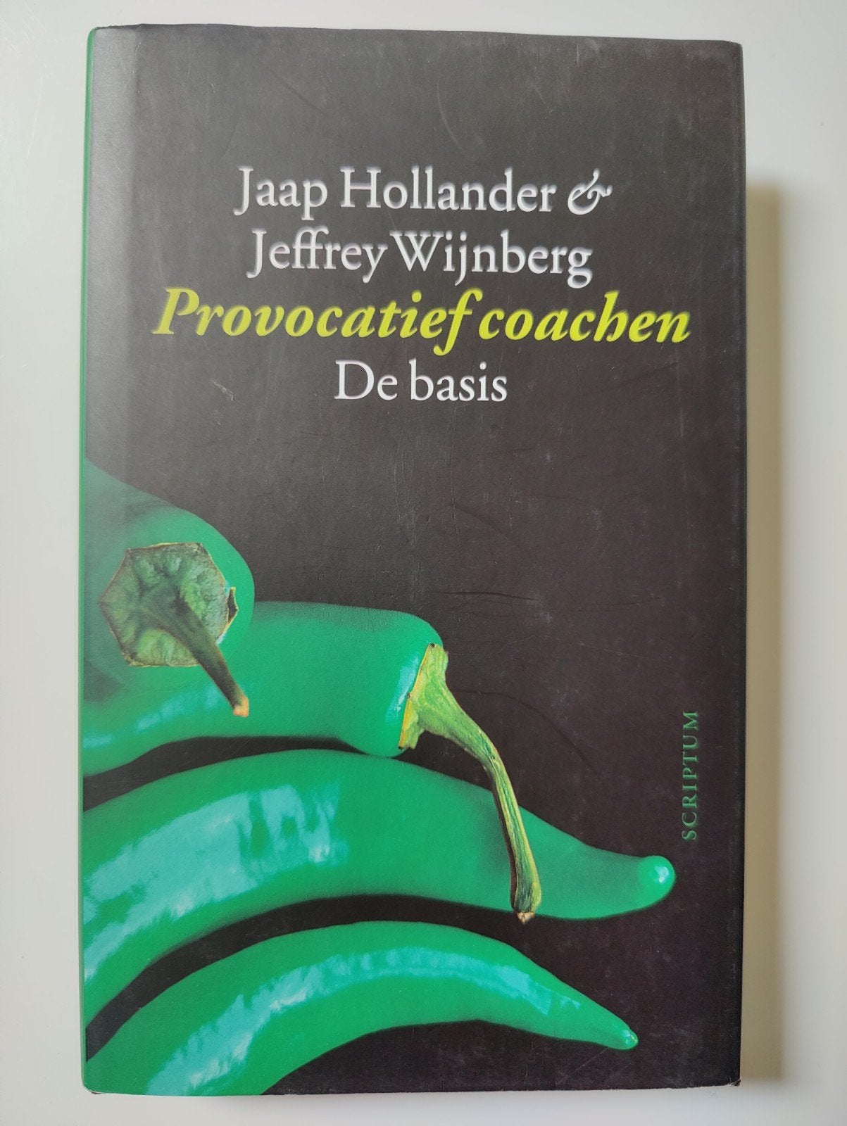 Provocatief coachen - Jaap Hollander & Jeffrey Wijnberg, Boeken, Woordenboeken, Ophalen of Verzenden