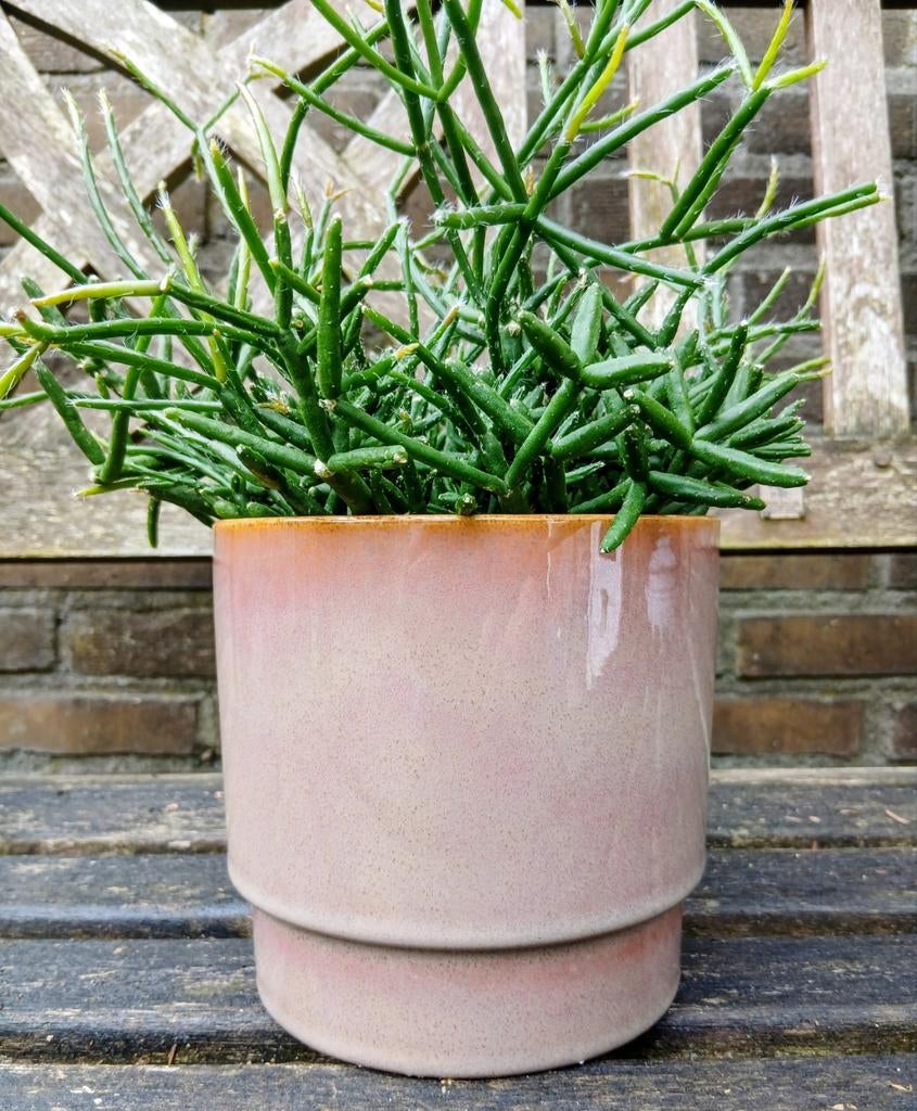 Keramieken bloempot van Mica Decorations, Ophalen, Rond, Aardewerk, Minder dan 40 cm