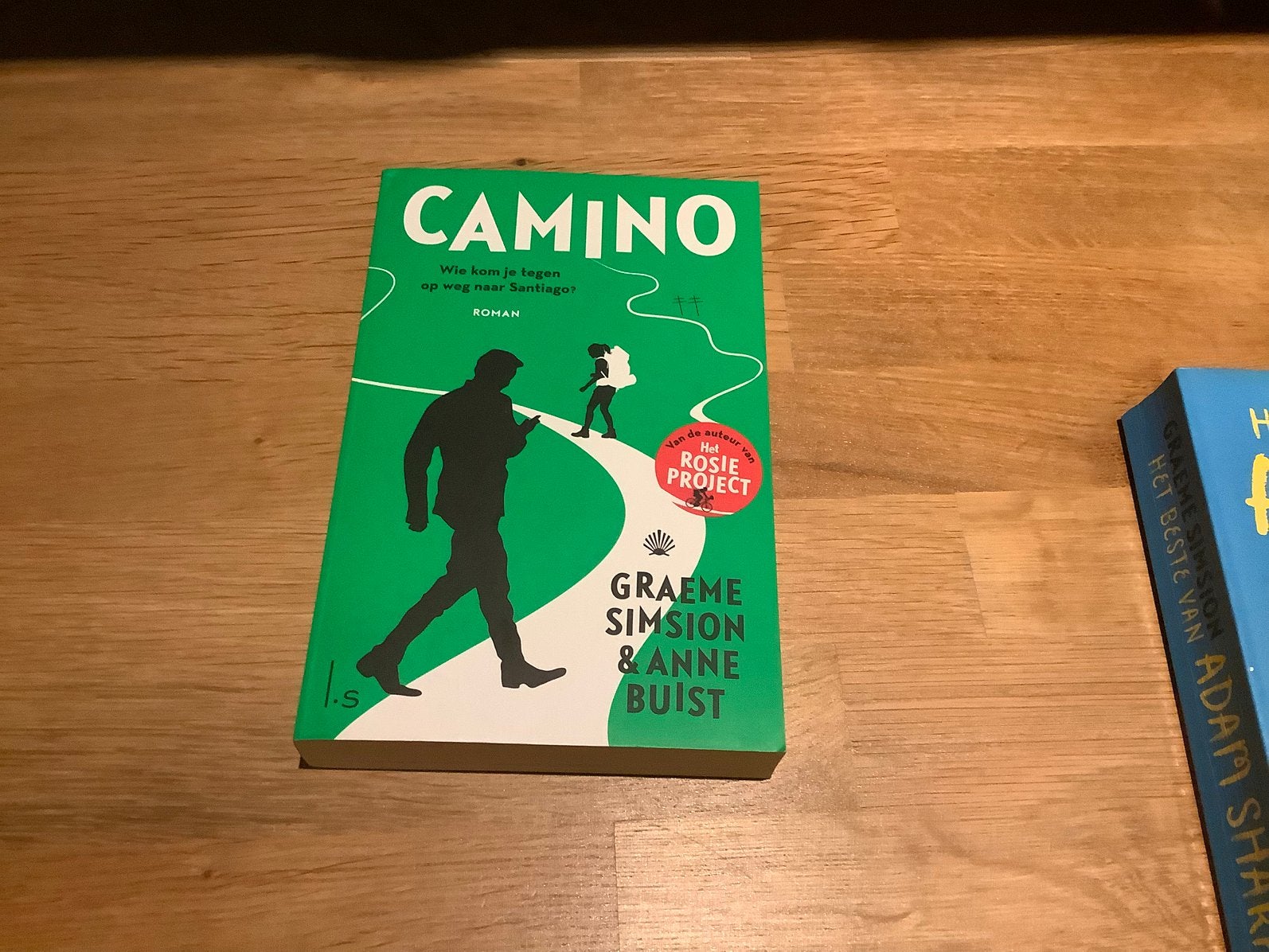 Camino - Graeme Simsion & Anne Buist (Roman), Boeken, Ophalen of Verzenden, Zo goed als nieuw, Nederland