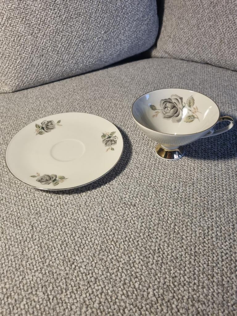 Z&Co Tirschenreuth Bavaria nr 17 kop en schotel, Ophalen of Verzenden, Zo goed als nieuw, Metaal of Aluminium