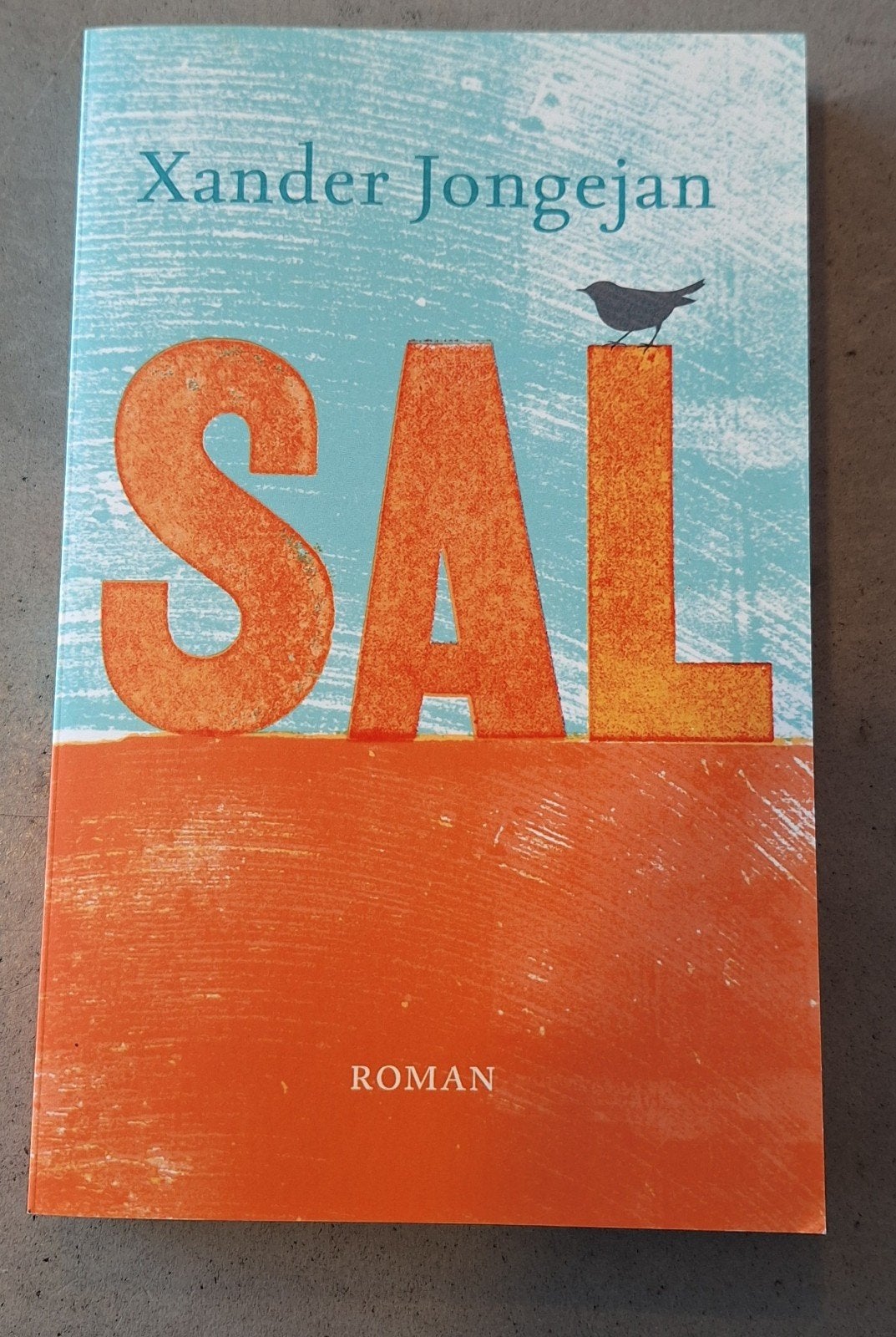 Xander Jongejan - Sal, Boeken, Verzenden, Zo goed als nieuw, Xander Jongejan