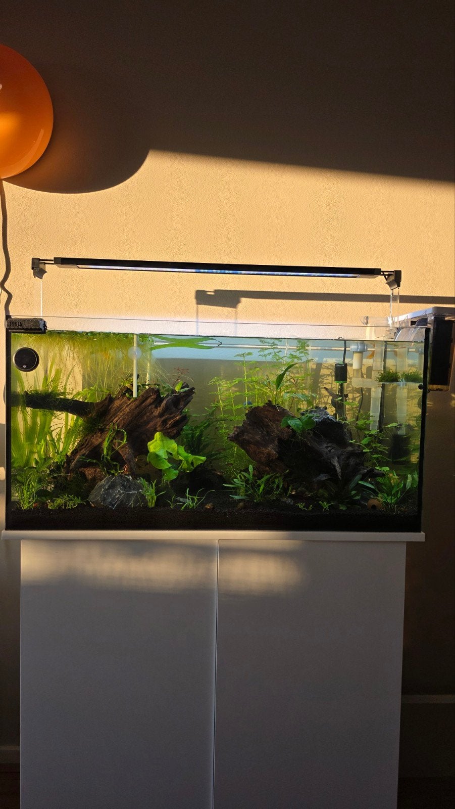 Aquarium 80x35x40 en onderkast Juwel rio 125, Dieren en Toebehoren, Vissen | Aquaria en Toebehoren, Ophalen, Zo goed als nieuw