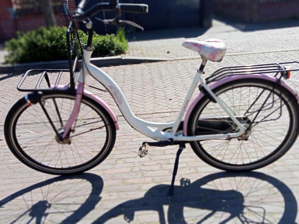 BSP Seine bakkersfiets / transportfiets, Overige merken, Versnellingen, Ophalen of Verzenden, Zo goed als nieuw