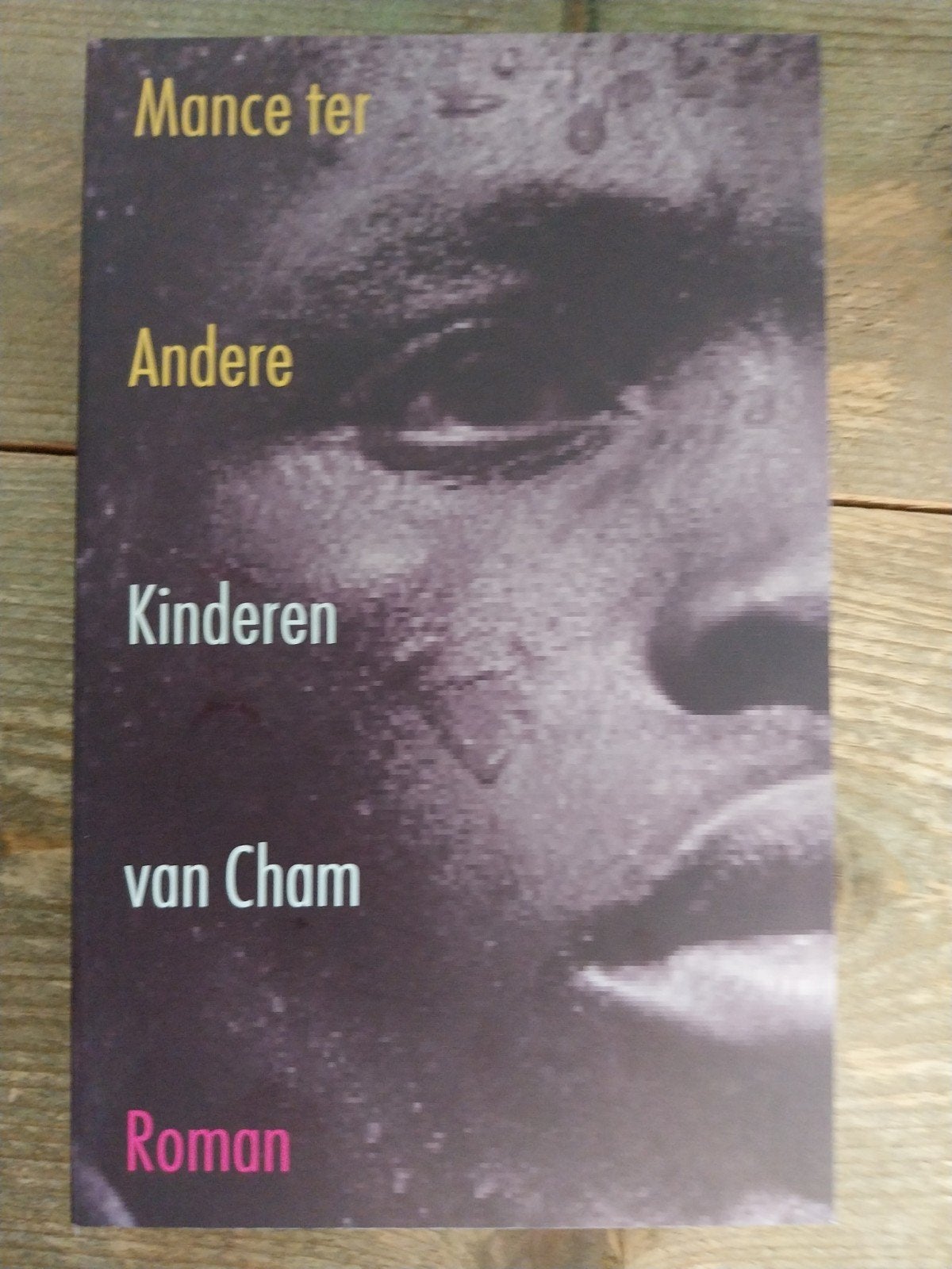 Kinderen van Cham - Mance ter Andere (Roman), Verzenden, Gelezen, Mance ter Andere, Nederland