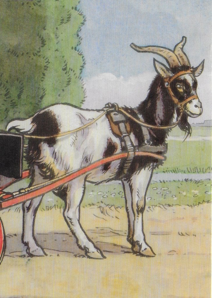 Ongelopen Ansichtkaart bok van het leesplankje (B3962 ), Ophalen of Verzenden, Voor 1920