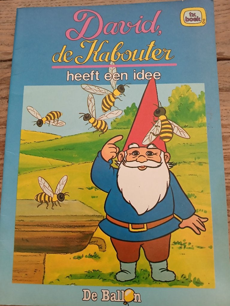 David de Kabouter heeft een idee - TV Boek, Boeken, Onbekend, Fictie algemeen, Jongen of Meisje, Ophalen of Verzenden