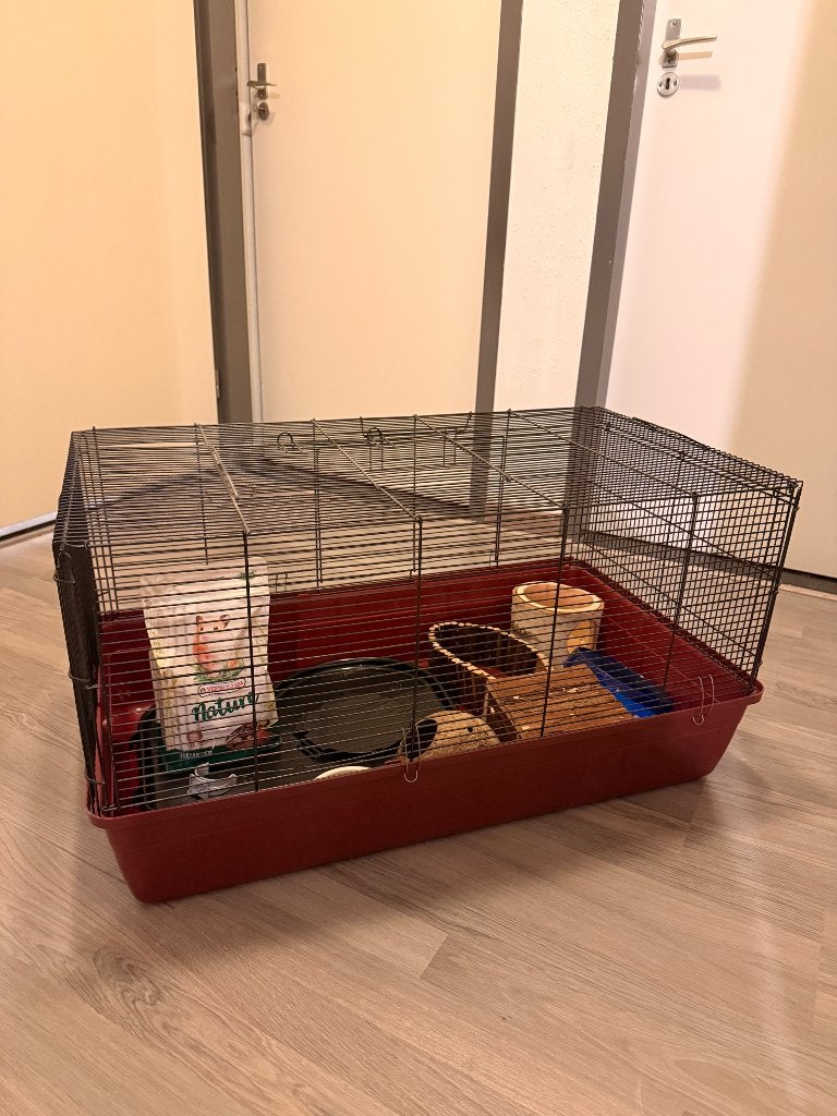 Hamsterkooi, Kooi, Minder dan 75 cm, Zo goed als nieuw, Rat