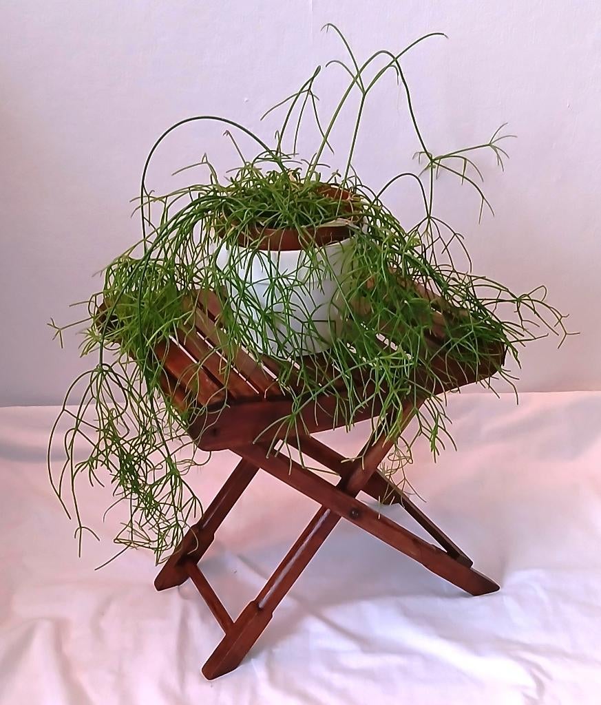 Vintage teak houten planten / bijzettafeltje jaren 60, Ophalen