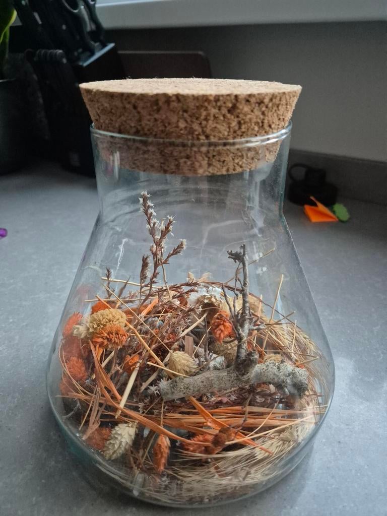 Decoratieve glazen pot met kurk en droogbloemen (herfst), Meerkleurig, Ophalen of Verzenden, Glas, Landelijk