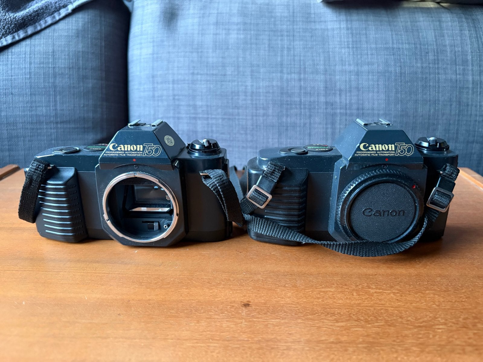 Twee Canon T50 spiegelreflexcamera's los of samen te koop, Audio, Tv en Foto, Fotocamera's Analoog, Ophalen of Verzenden, Gebruikt