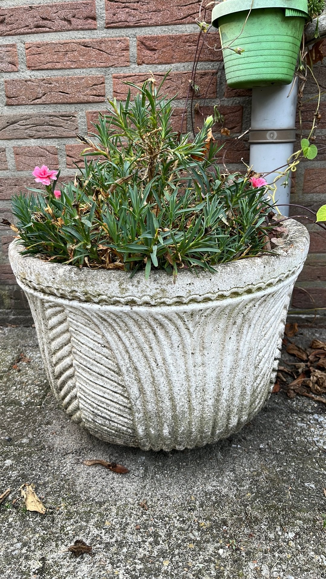 Betonnen bloembak, Tuin en Terras, Ophalen, Gebruikt, Rond, Balkon