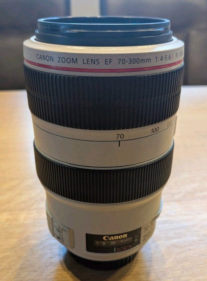 Canon EF 70-300mm f/4-5.6L IS USM Telelens met accessoires, Ophalen of Verzenden, Zo goed als nieuw, Telelens, Zoom