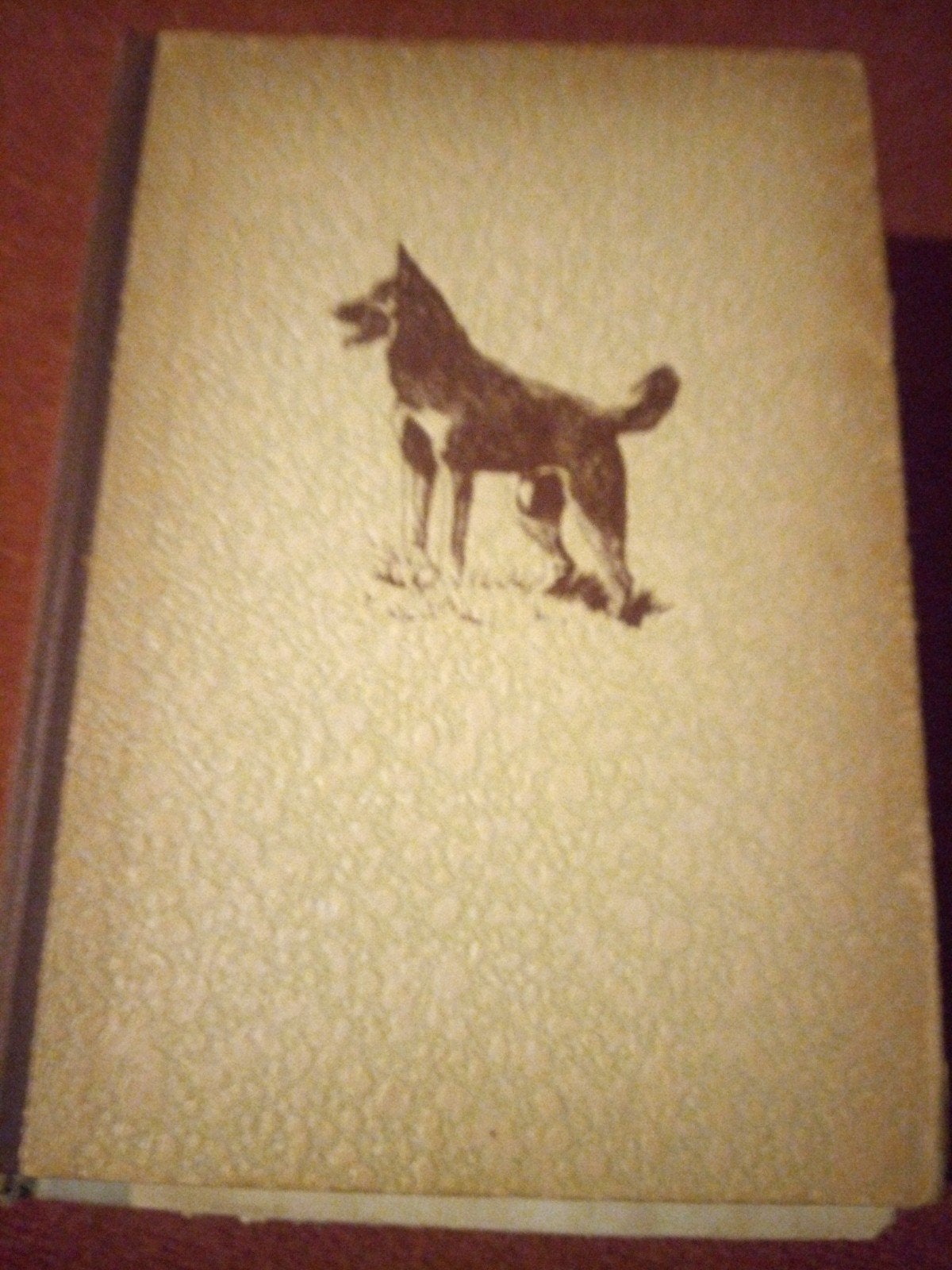 Xingoe, de hond - Ditha Holesch (oud kinderboek), Verzenden