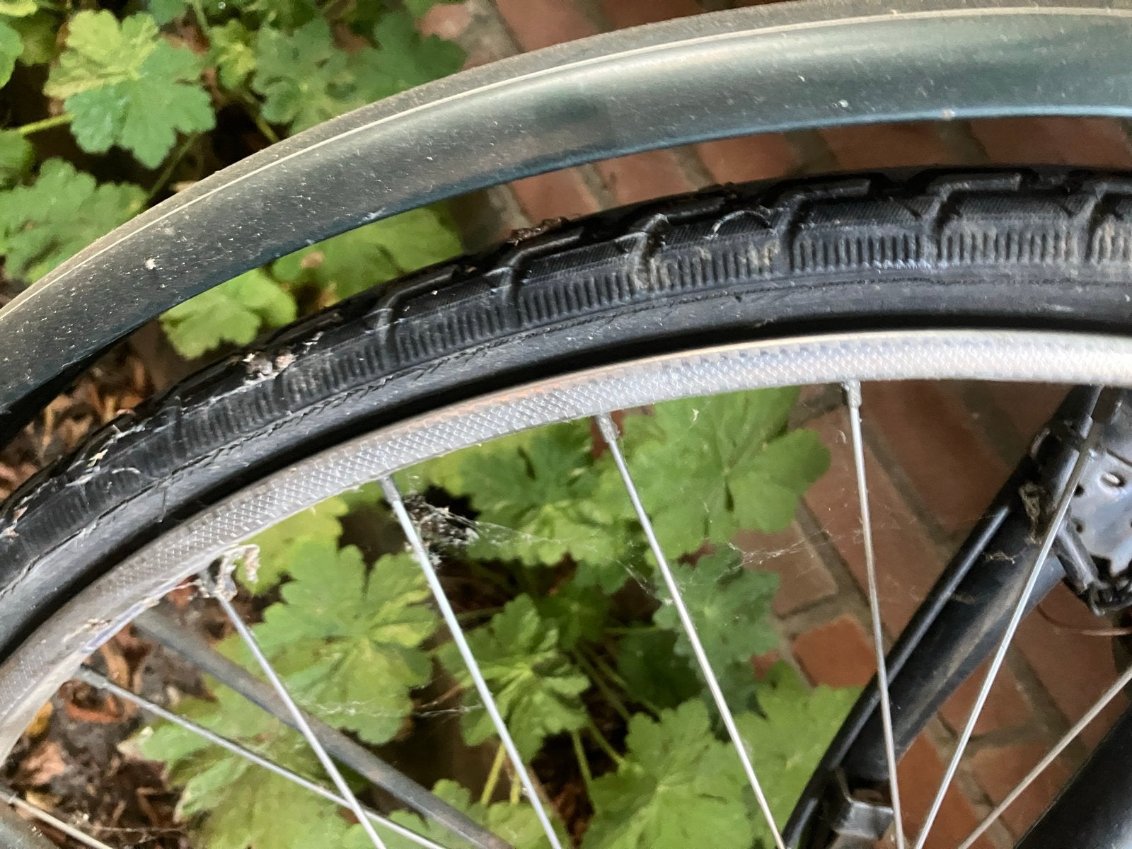 Gazelle damesfiets met lekke banden, Terugtraprem, Versnellingen, Ophalen of Verzenden, Gazelle