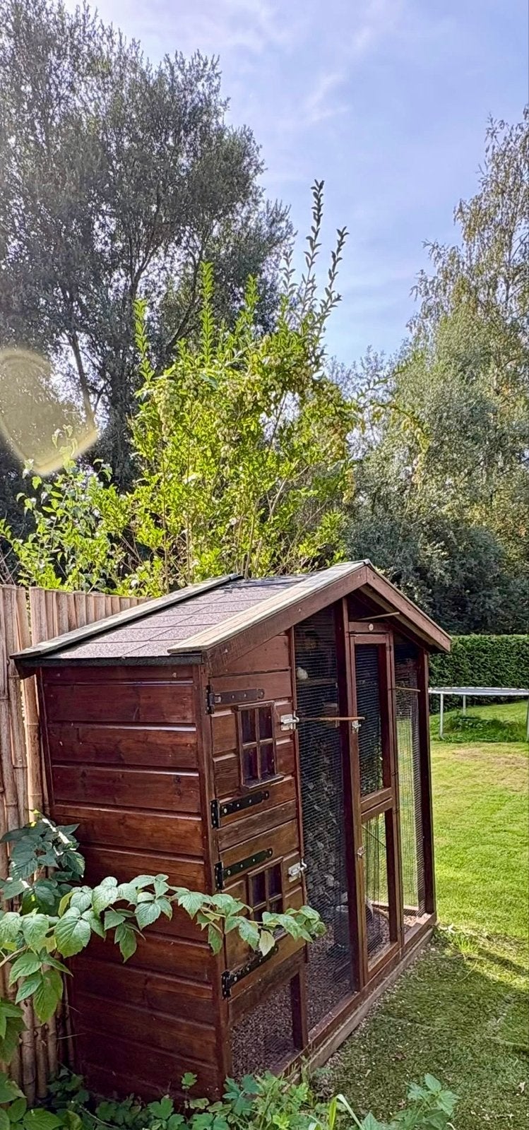 Complete volière met vogels, kwartels en alle toebehoren, Dieren en Toebehoren, Ophalen, Hout, Volière