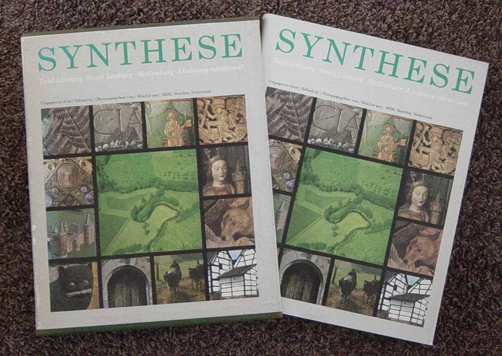 Boek Synthese Zuid Limburg Kunst en Natuur, Ophalen of Verzenden, Zo goed als nieuw