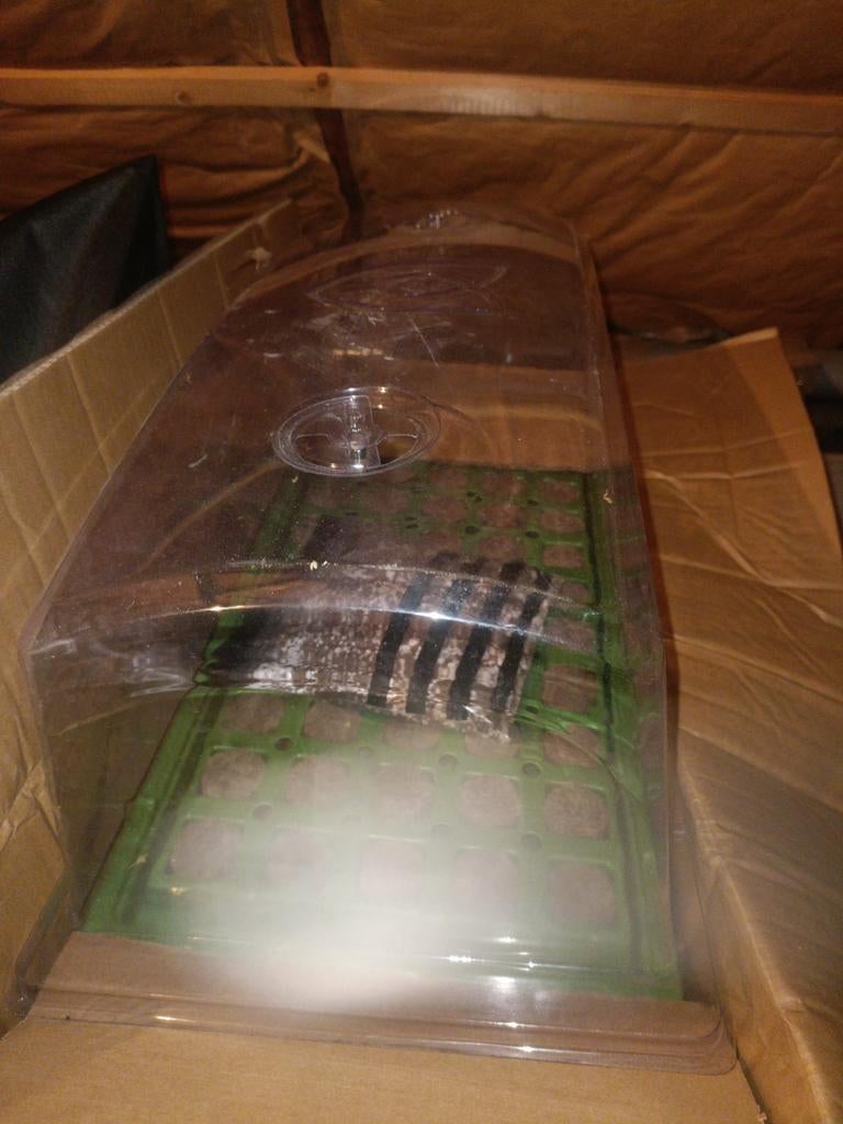 Complete hobby kweek-/planten set met LED en HPS lampen, Ophalen of Verzenden, Gebruikt, Kweeklamp