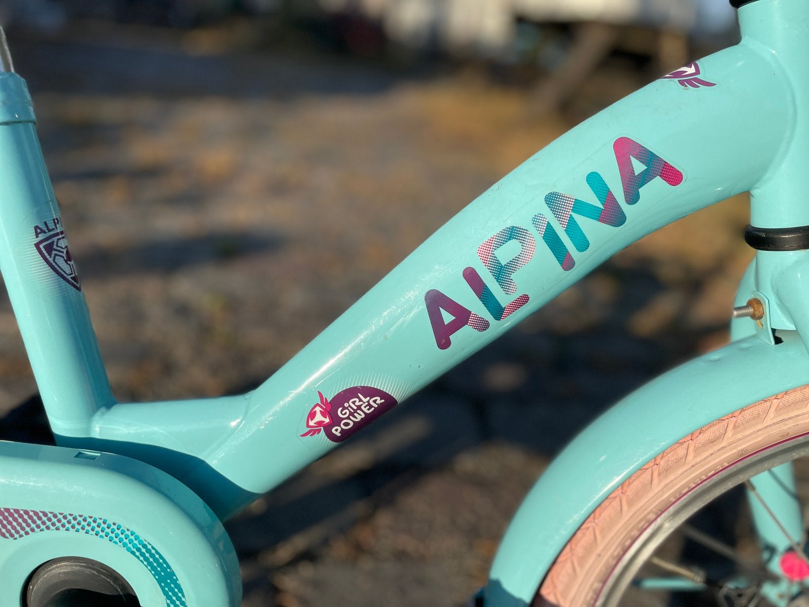 Meisjesfiets Alpina Girl Power 16 inch, Ophalen, Terugtraprem, Gebruikt, Handrem