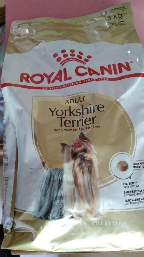 #royalcanin#yorkshireterriër#Boomer#hondenbrokken, Ophalen, Hond