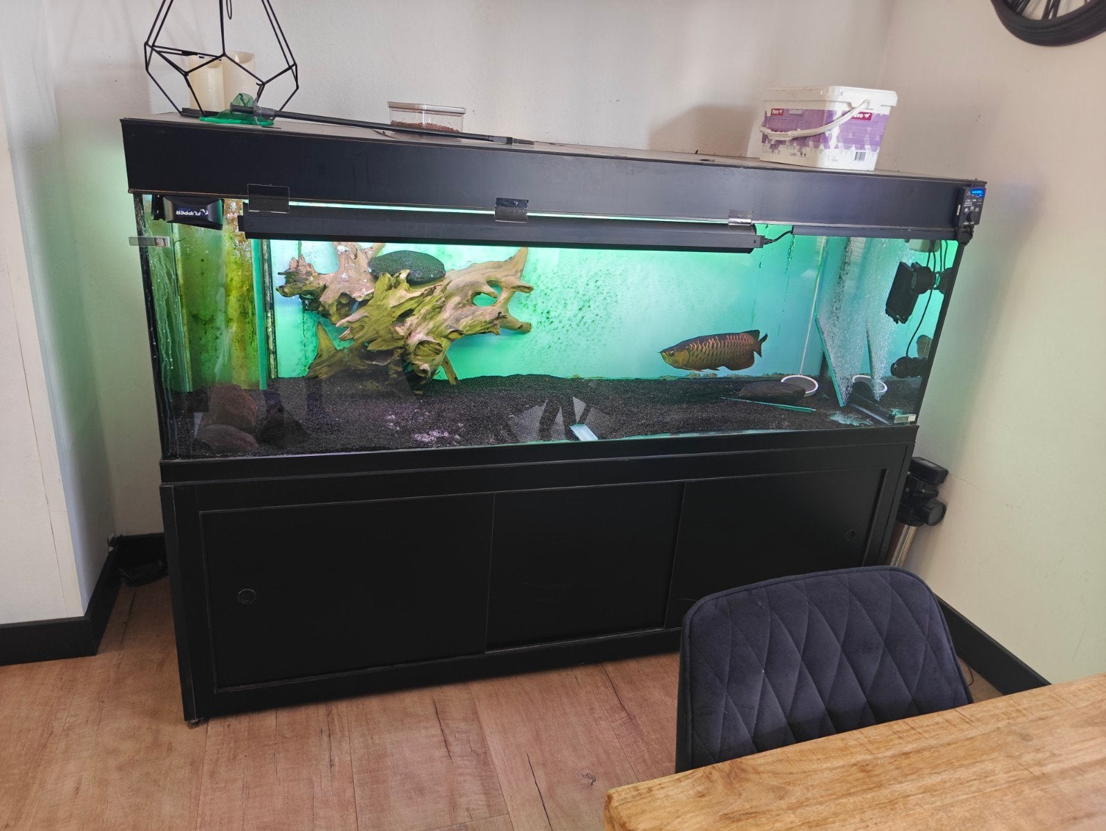 aquarium 200x72x75. met bioloog pomp en onderkast, Ophalen, Gebruikt