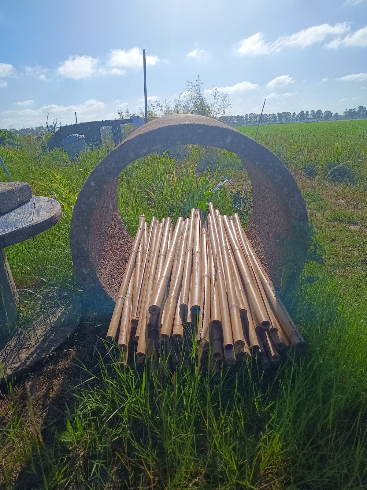 Betonnen buis voor diverse toepassingen, Dieren en Toebehoren