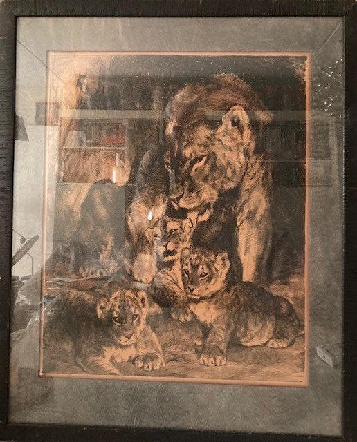 Vintage ingelijste litho van Cornelis Jan Mension, Antiek en Kunst, Ingelijst, Ophalen of Verzenden, Dieren en Natuur