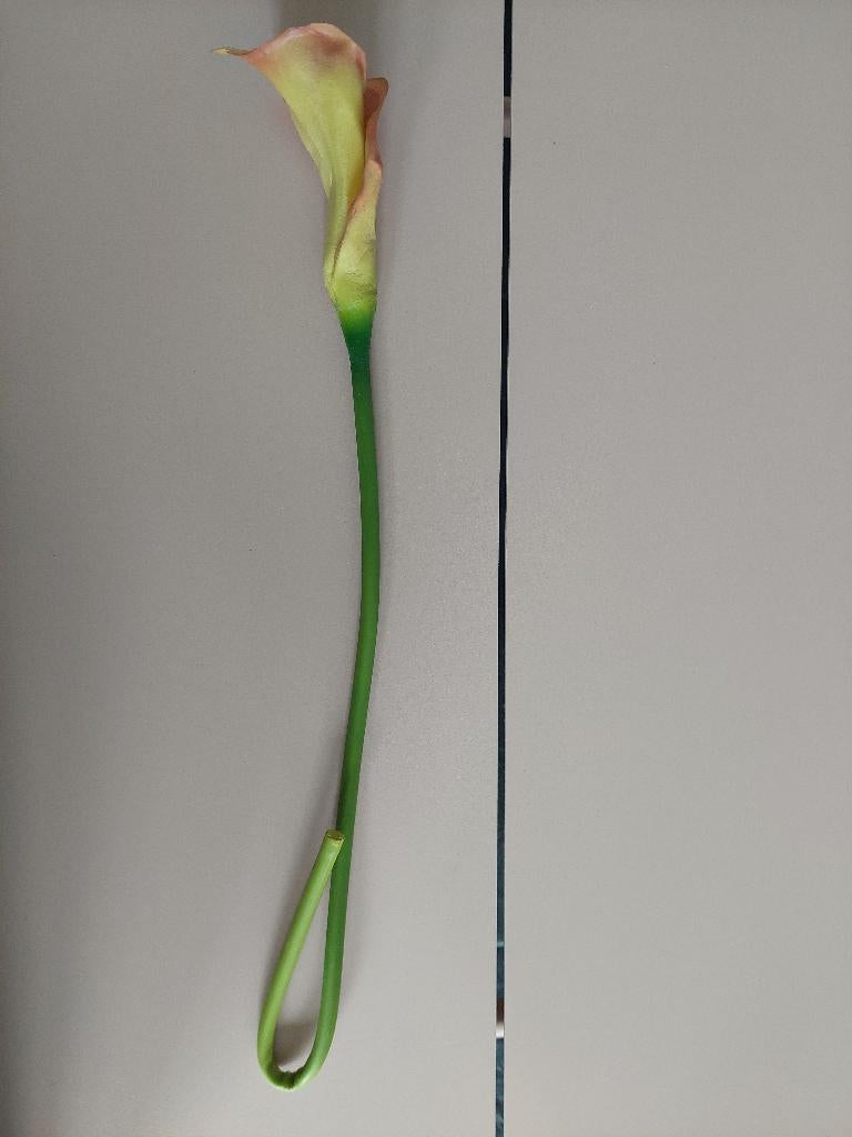 Kunstbloem aronskelk, Binnen, 62 cm, Gebruikt, Kunstbloem