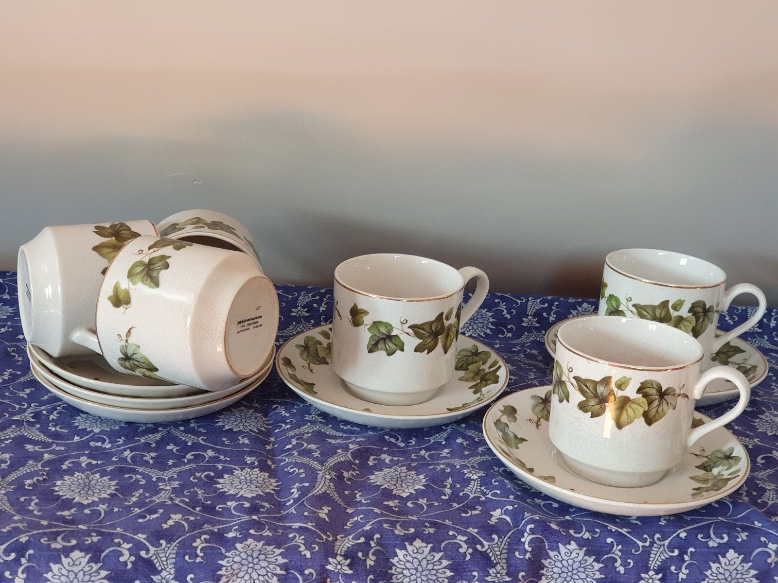 6 kop en schotels Midwinter Staffordshire England klimopblad, Ophalen of Verzenden
