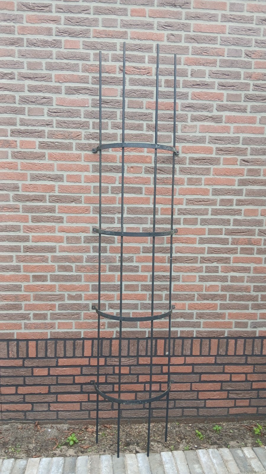 2 stevige planten rekken klimrekken 240 cm, Tuin en Terras, Ophalen, Zo goed als nieuw, Minder dan 10 meter