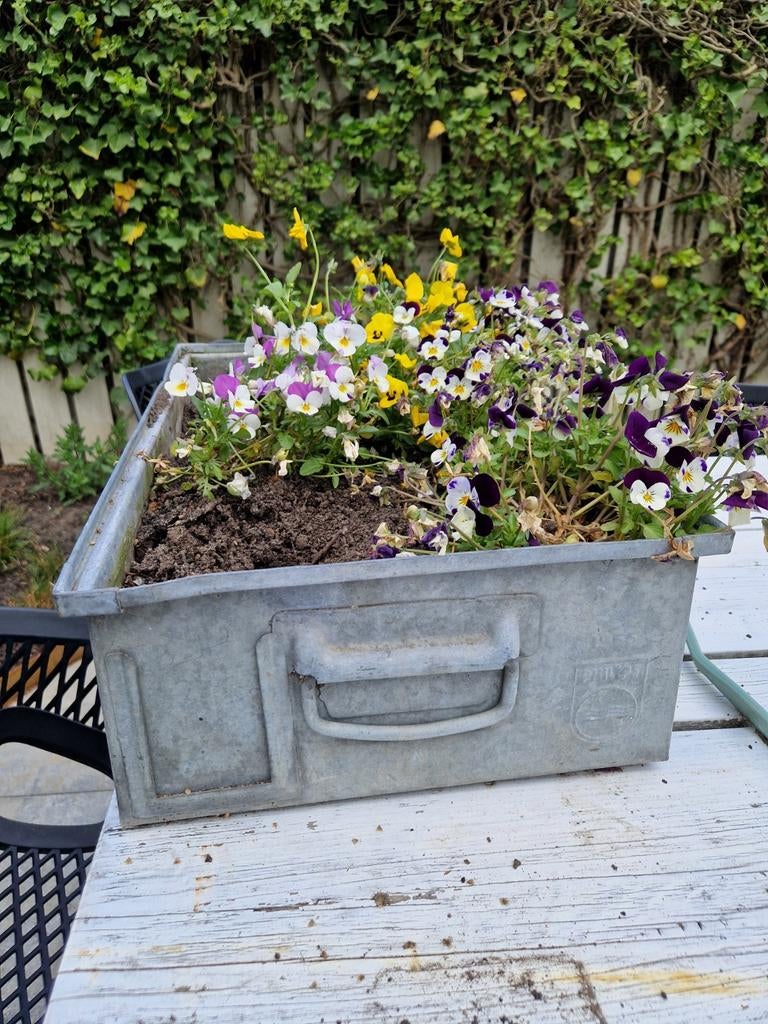 Vintage rechthoekige metalen bak - Philips 1955 - 52x34cm, Ophalen, Gebruikt, Minder dan 30 cm, Minder dan 60 cm
