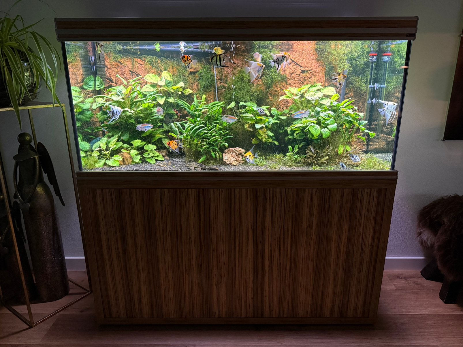 Compleet aquarium, Ophalen, Inclusief vissen, Gebruikt, Gevuld zoetwateraquarium