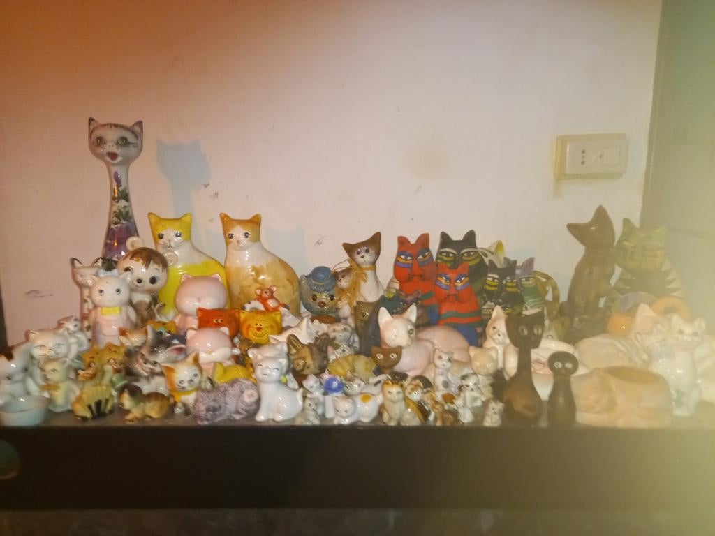 Verzameling honderden kattenbeeldjes en spaarpotten, Ophalen of Verzenden