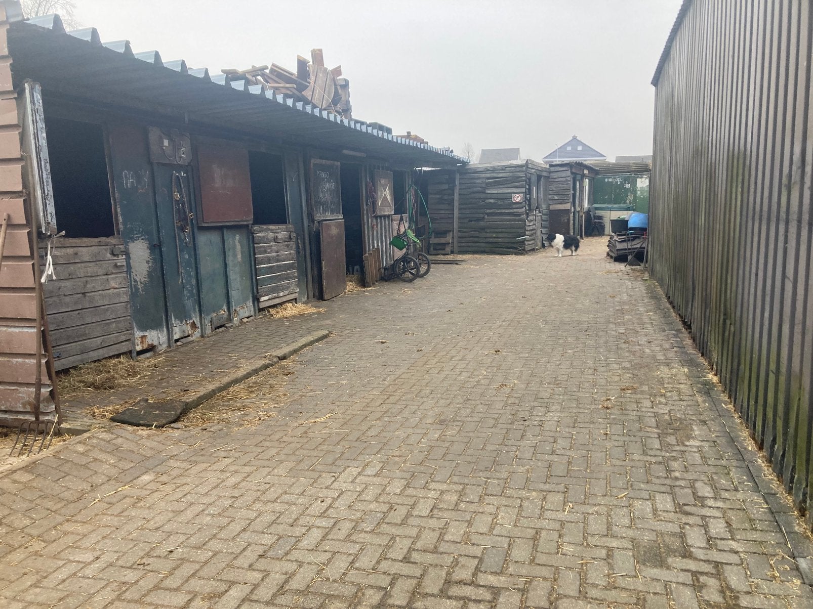 Paarden en shetlanderstallen te huur menwagen te koop, Dieren en Toebehoren, Stalling en Weidegang, Weidegang