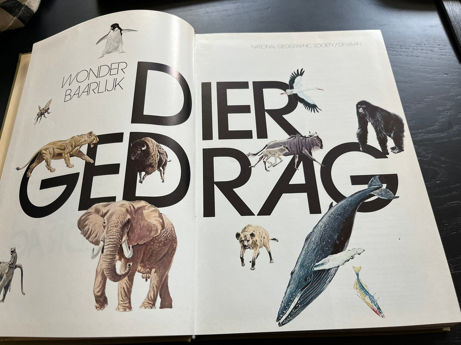 Dierengedrag, Ophalen of Verzenden, Zo goed als nieuw, Overige onderwerpen