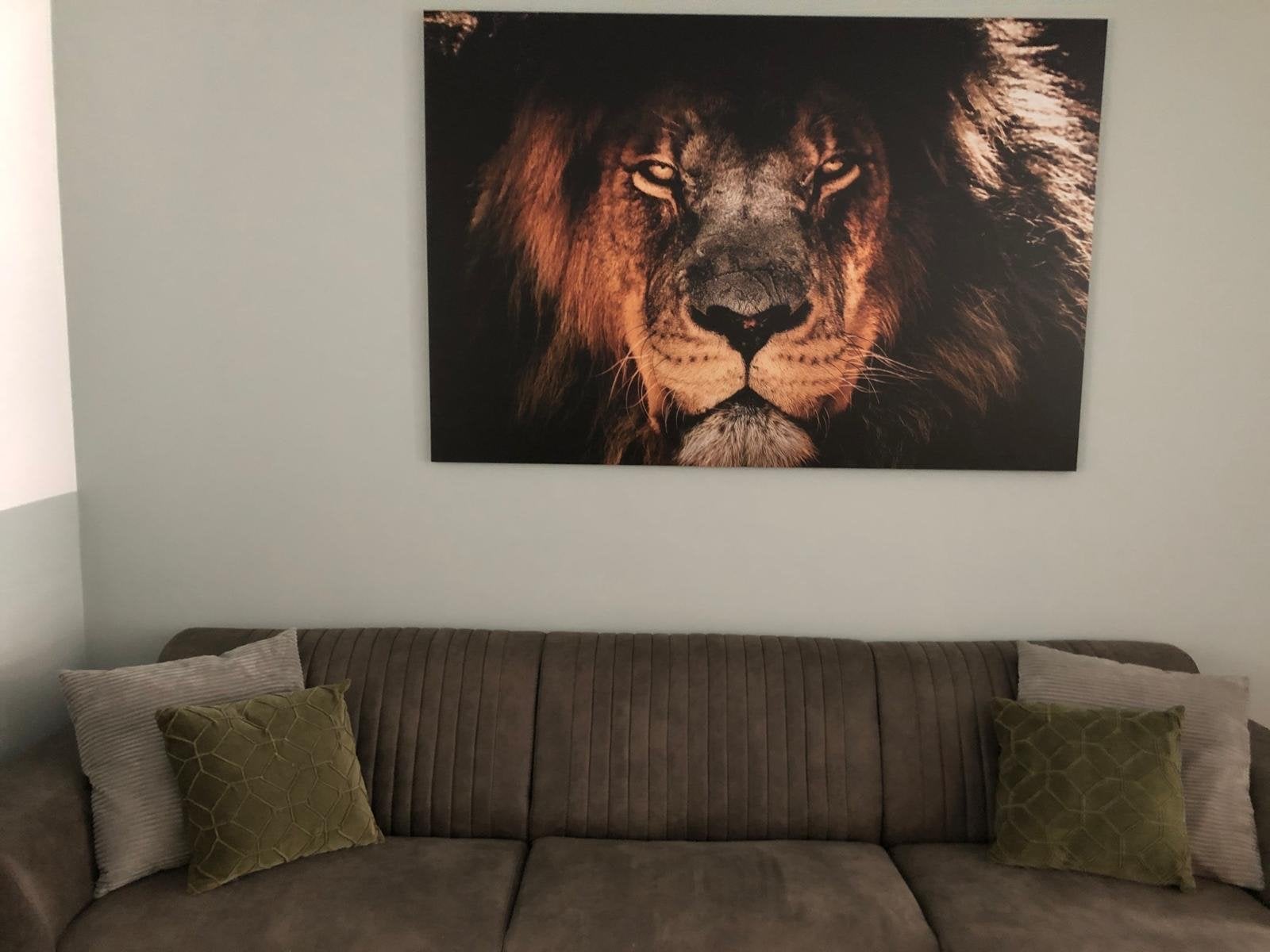 Leeuwen diabond aluminium Schilderij 120 x 180, Huis en Inrichting, Ophalen, Zo goed als nieuw, 125 cm of meer, Schilderij